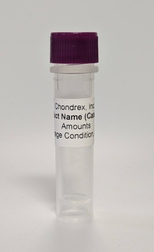 Elastase from Porcine Pancreas, 10 mg