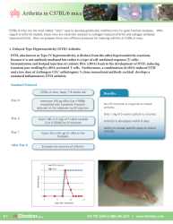 Arthritis in C57BL/6 Mice